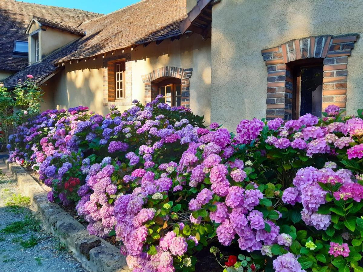 Chambres D'Hotes Domaine De La Jonquiere, Bouloire Ngoại thất bức ảnh